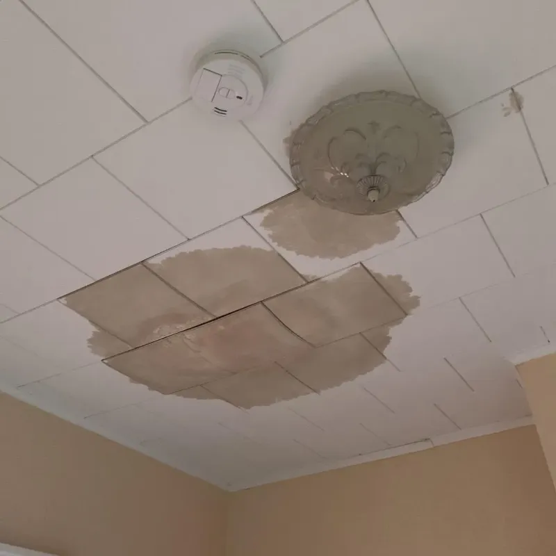 Ceiling Water Damage Repair in Santa Fe, TX