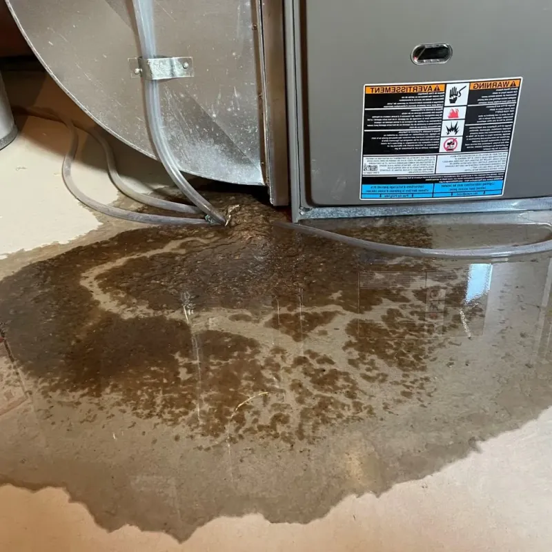 Pipe Burst and Leak Restoration in Santa Fe, TX