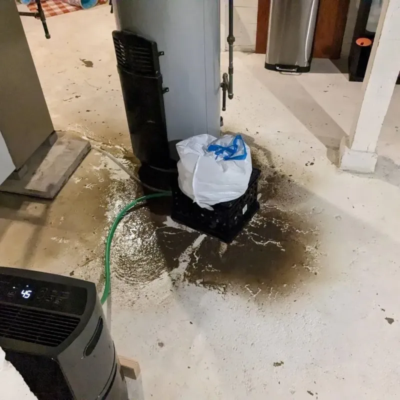 Sewage Backup Cleanup Service in Santa Fe, TX